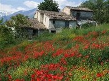 Highly insulated rustic Eco-homes utilising sustainable, locally sourced materials giving warm and comfortable, low maintenance homes with low running costs and low carbon footprints. Properties can be finished with stone external walls or a mix of stone, wood and paint-rendered walls.